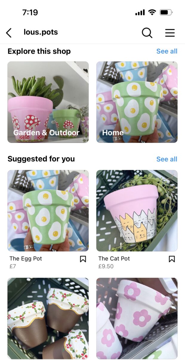 Lous pots Instagram Shop painted pots garden and outdoor category
