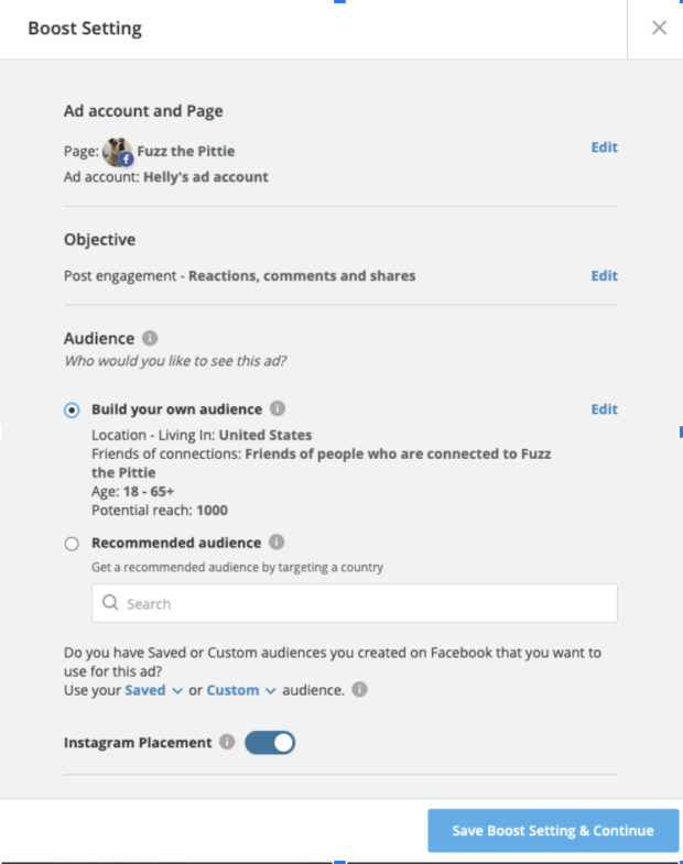 Boost setting ad account page objective and audience