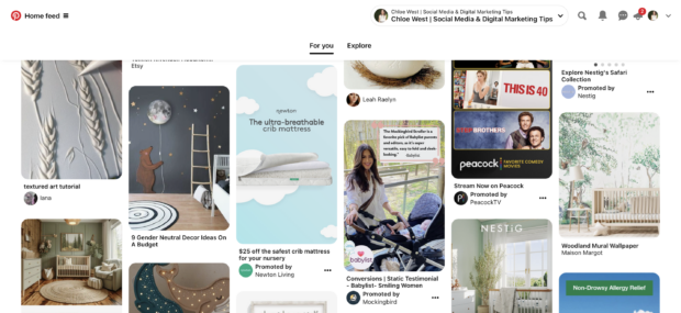 Pinterest home feed standard pins with Promoted by label