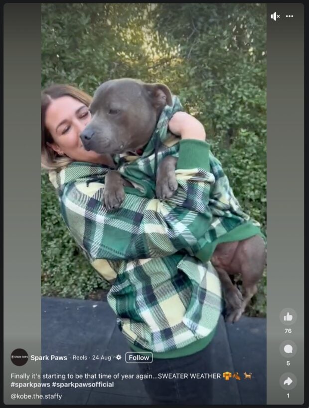 Spark Paws sweater weather matching with dog