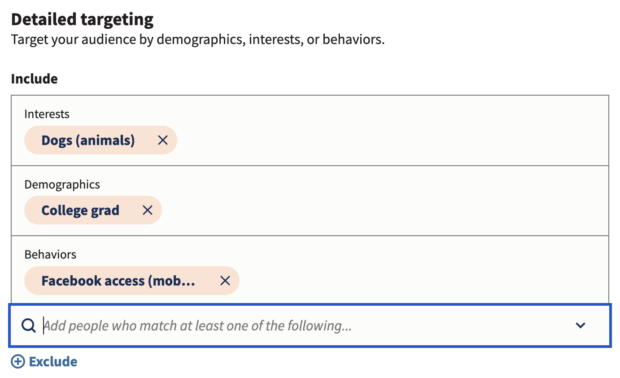 Detailed targeting interests demographics and behaviours