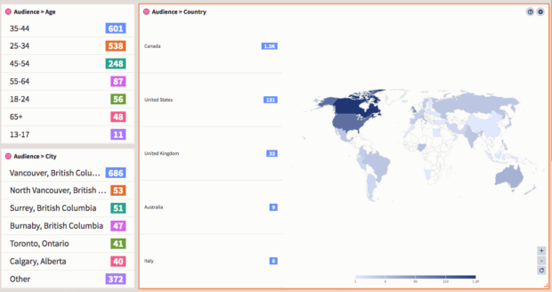 audience insights Hootsuite by age country and city