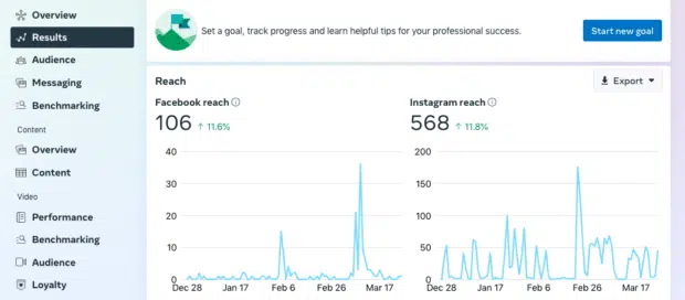 Meta Business Suite Insights results graph Facebook and Instagram reach