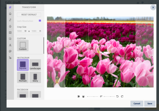 prepare tulip image for Facebook or Instagram by cropping or resizing