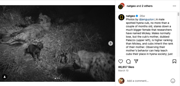 A sample post from National Geographic illustrating their social strategy on Instagram