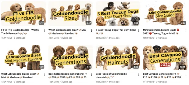 dog selection YouTube video with various breeds