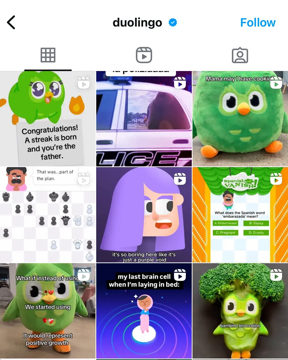 duolingo profile, instagram