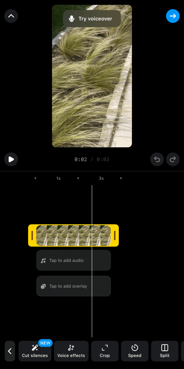 edit video voice effects speed and crop