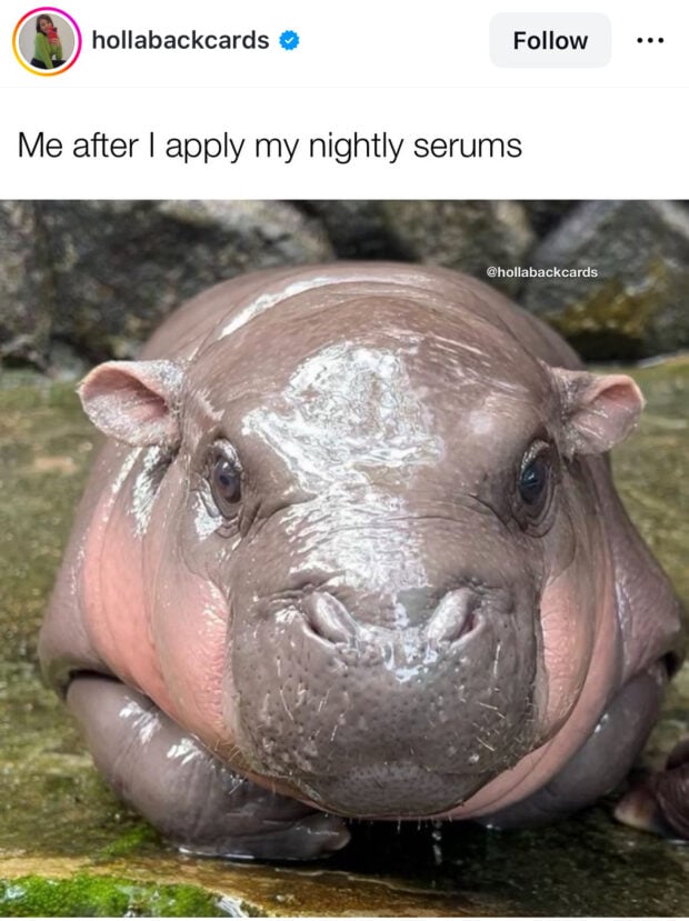 memes me after i apply my nightly serum hippo