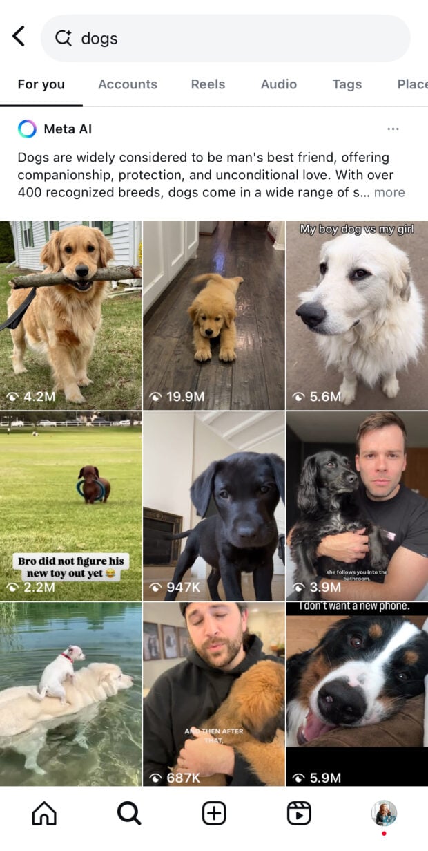 dogs for you page