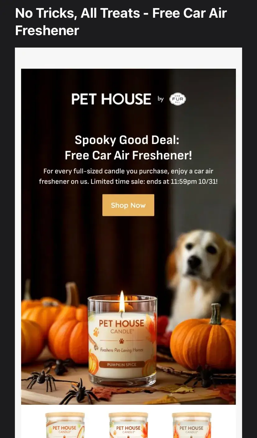 pet house dedication email, email marketing campaign