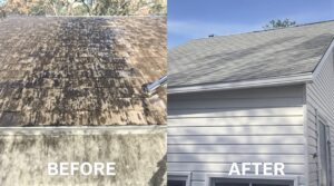 Discover the Transformative Benefits of Soft Washing for Optimal Home Maintenance