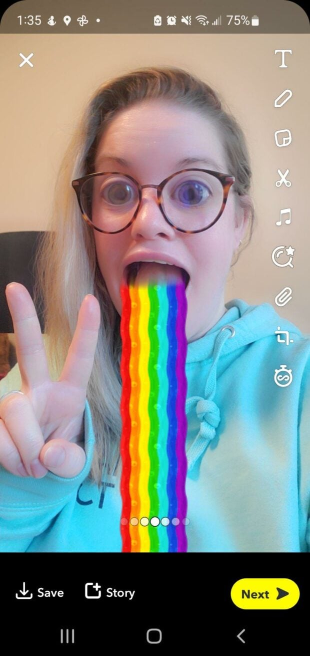 One of Snapchat's most iconic filters was one that made users look like they were